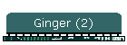 Ginger (2)
